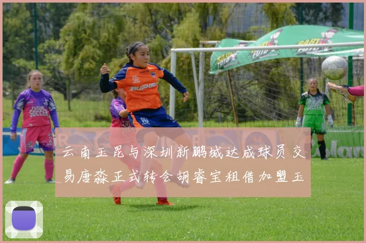 云南玉昆与深圳新鹏城达成球员交易唐淼正式转会胡睿宝租借加盟玉昆